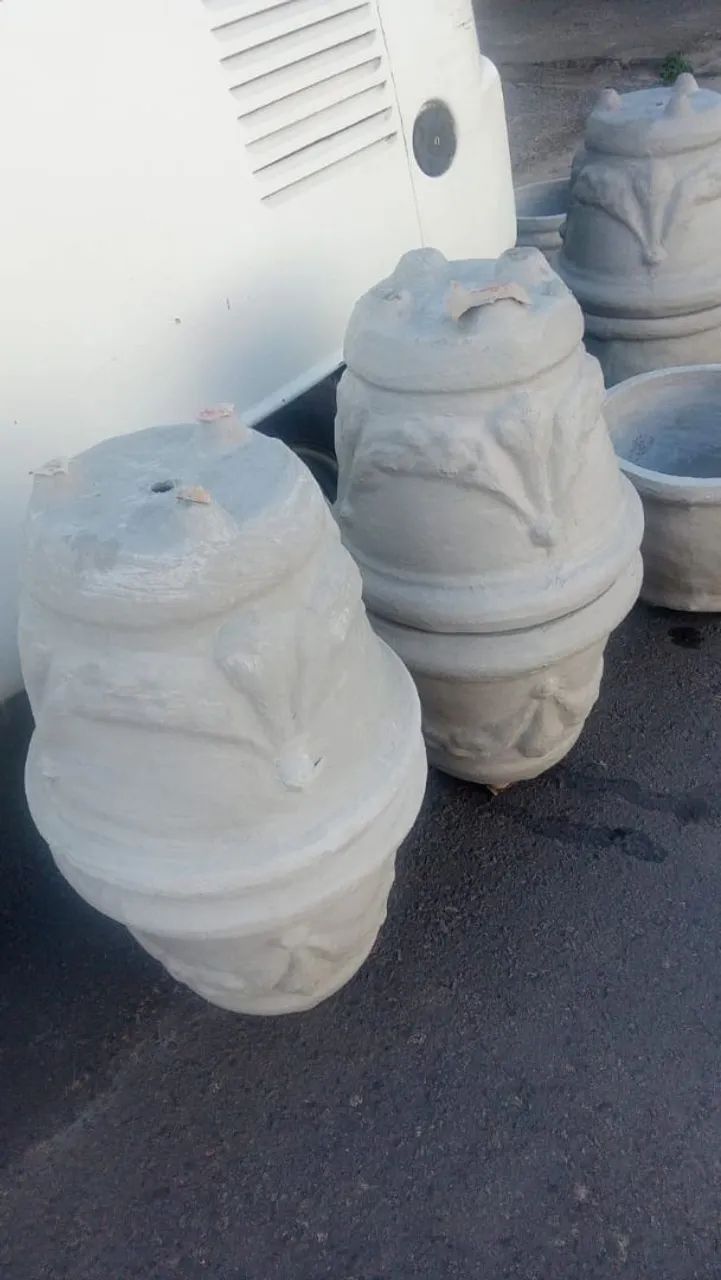 Vasos de plantas 