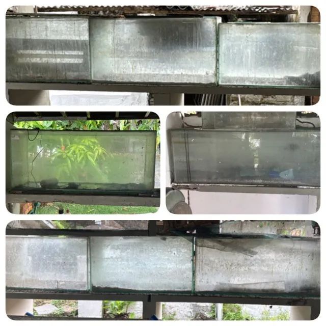 OPORTUNIDADE EM AQUÁRIOS USADOS! Tamanhos grandes, medidas diversas