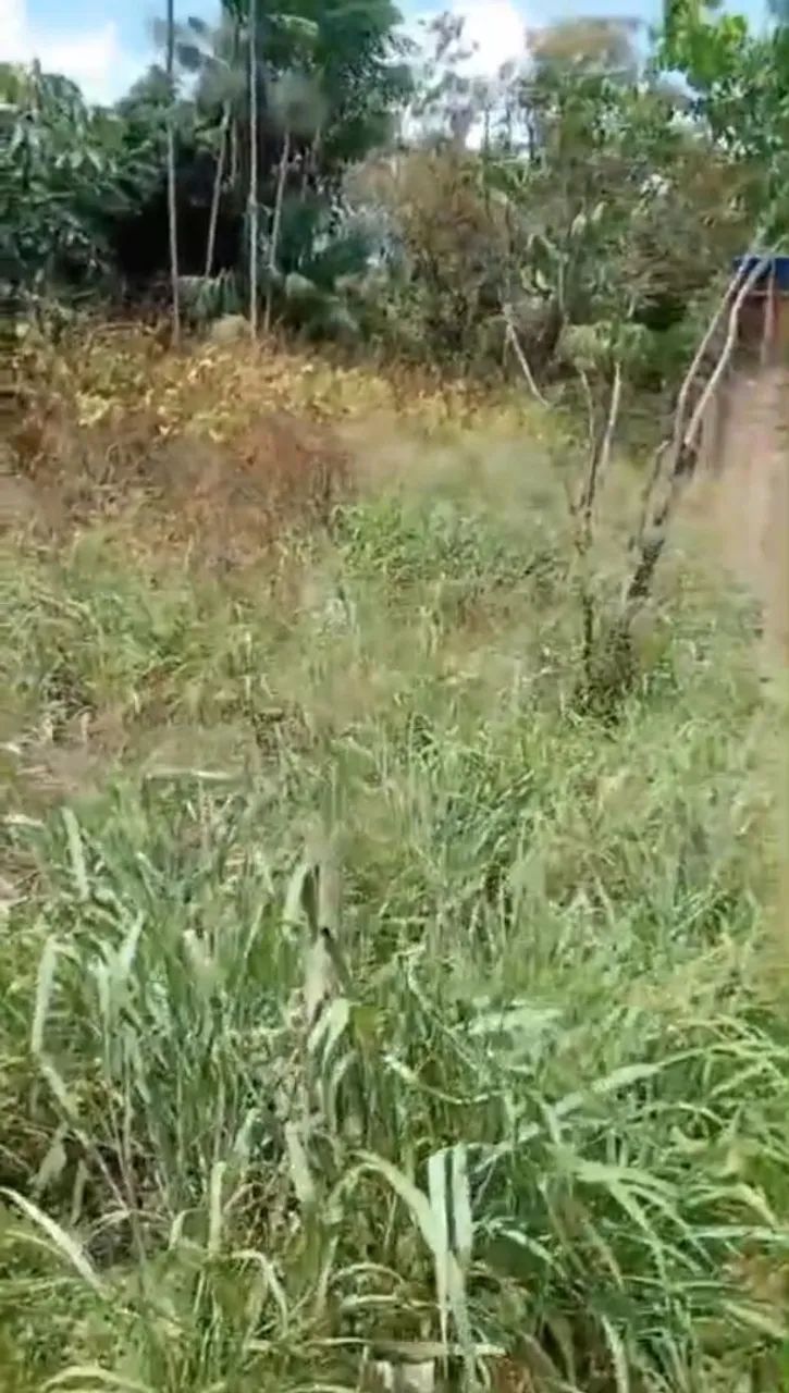 Vendo terreno em augusto corrêa  - Foto 4