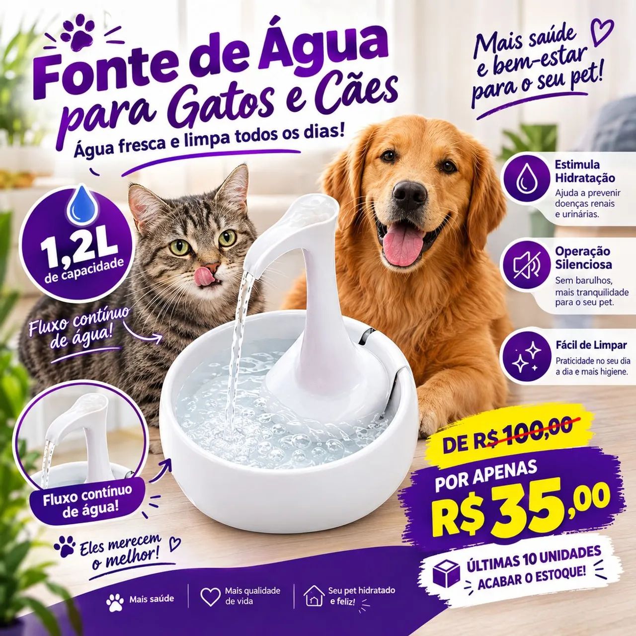 Fonte para Gatos 