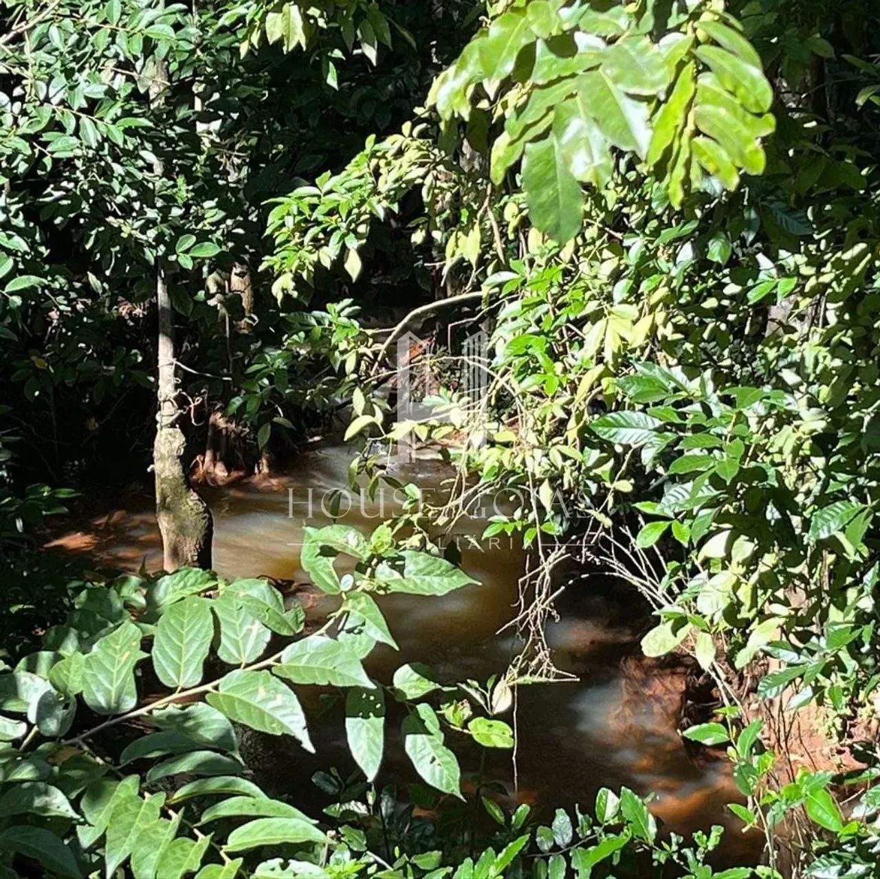 Chácara à venda, Próximo a Coca-Cola, Trindade, GO - Foto 3