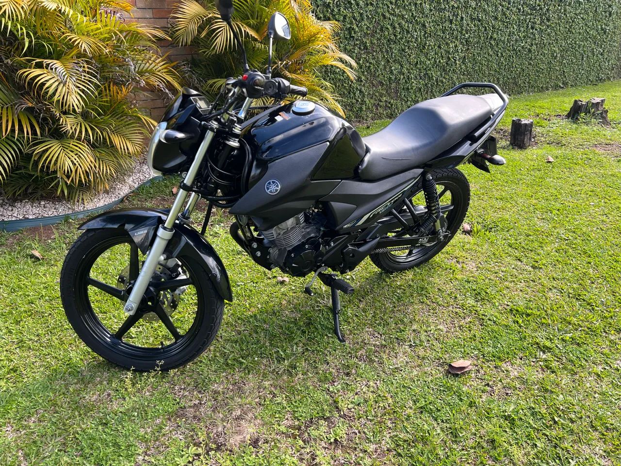 Yamaha Factor 150 ED Flex 2022 - Foto 4