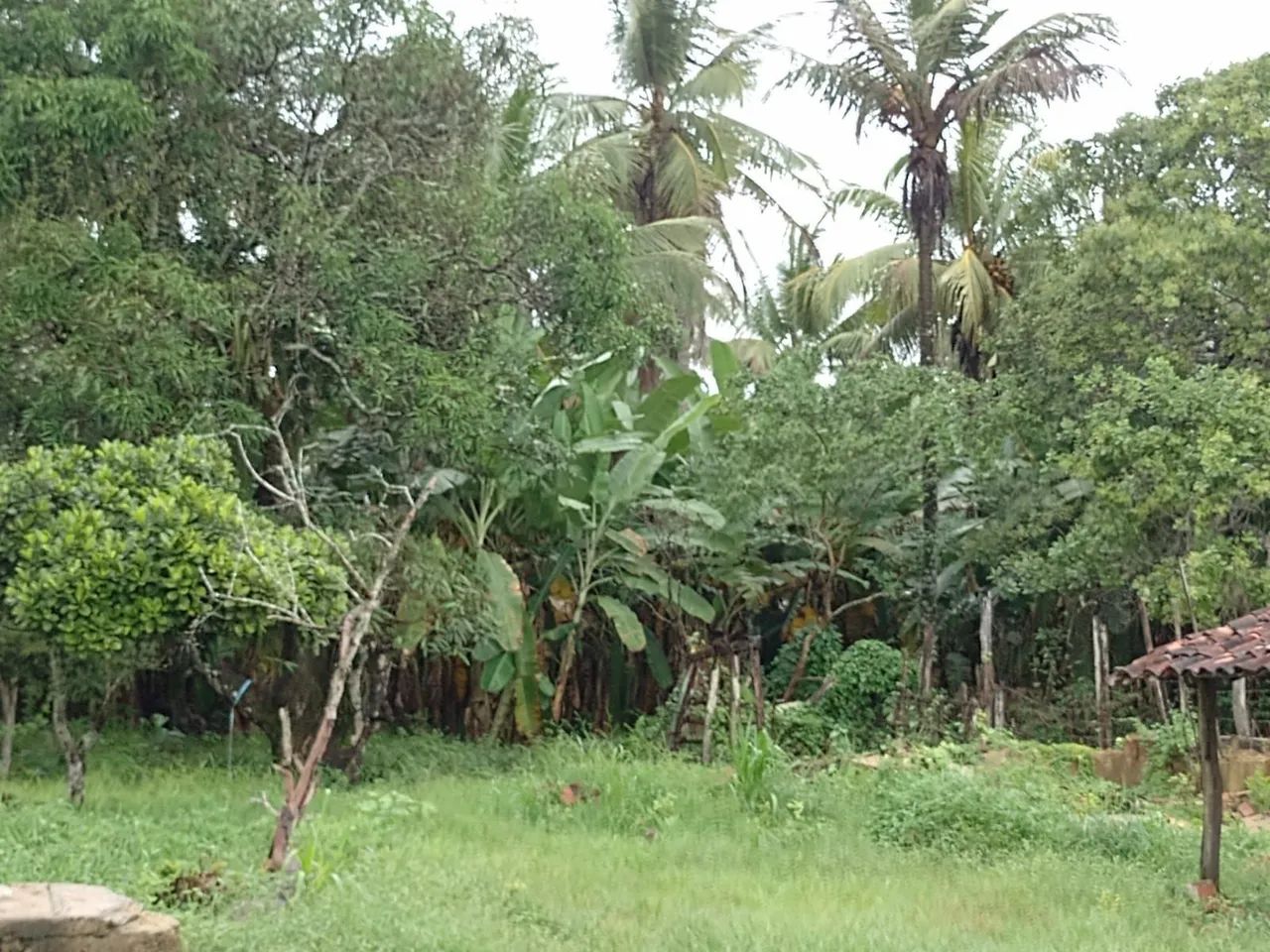 Vende-se Sítio em Siriri - Foto 4