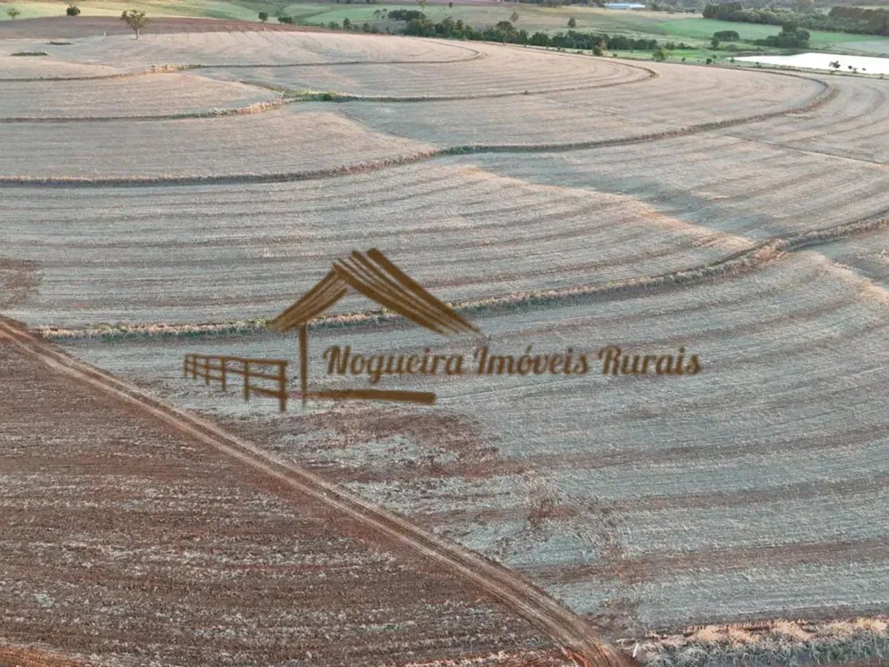 Sítio com 17 alqueires terra vermelha em Quadra/SP - Foto 4
