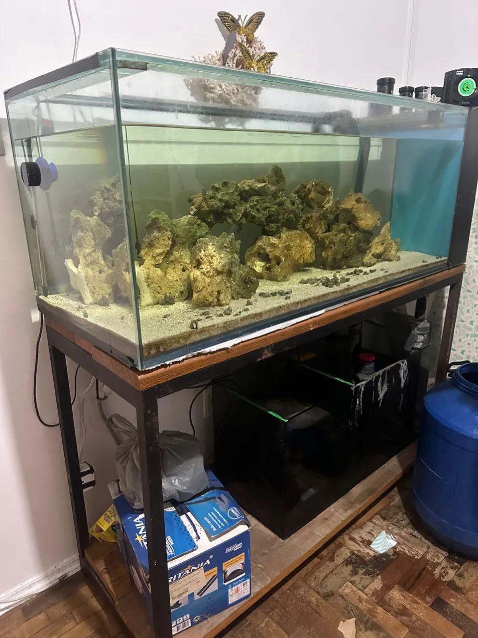 Aquário Marinho Completo 300L + Sump + Móvel + Equipamentos - Foto 4