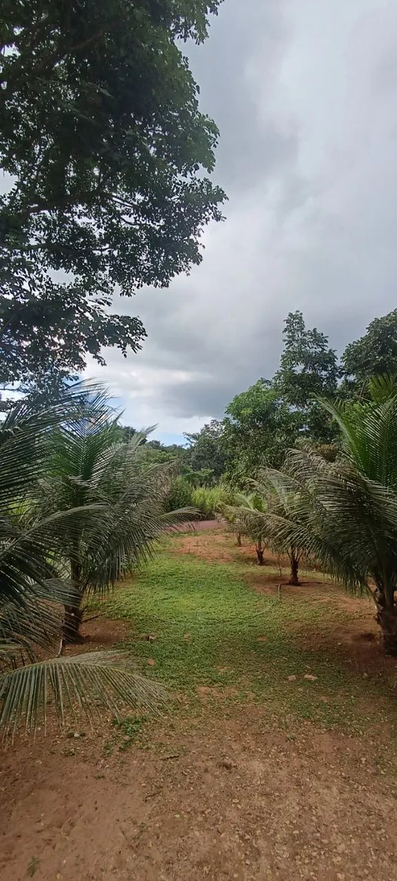Foto - Parauapebas - 