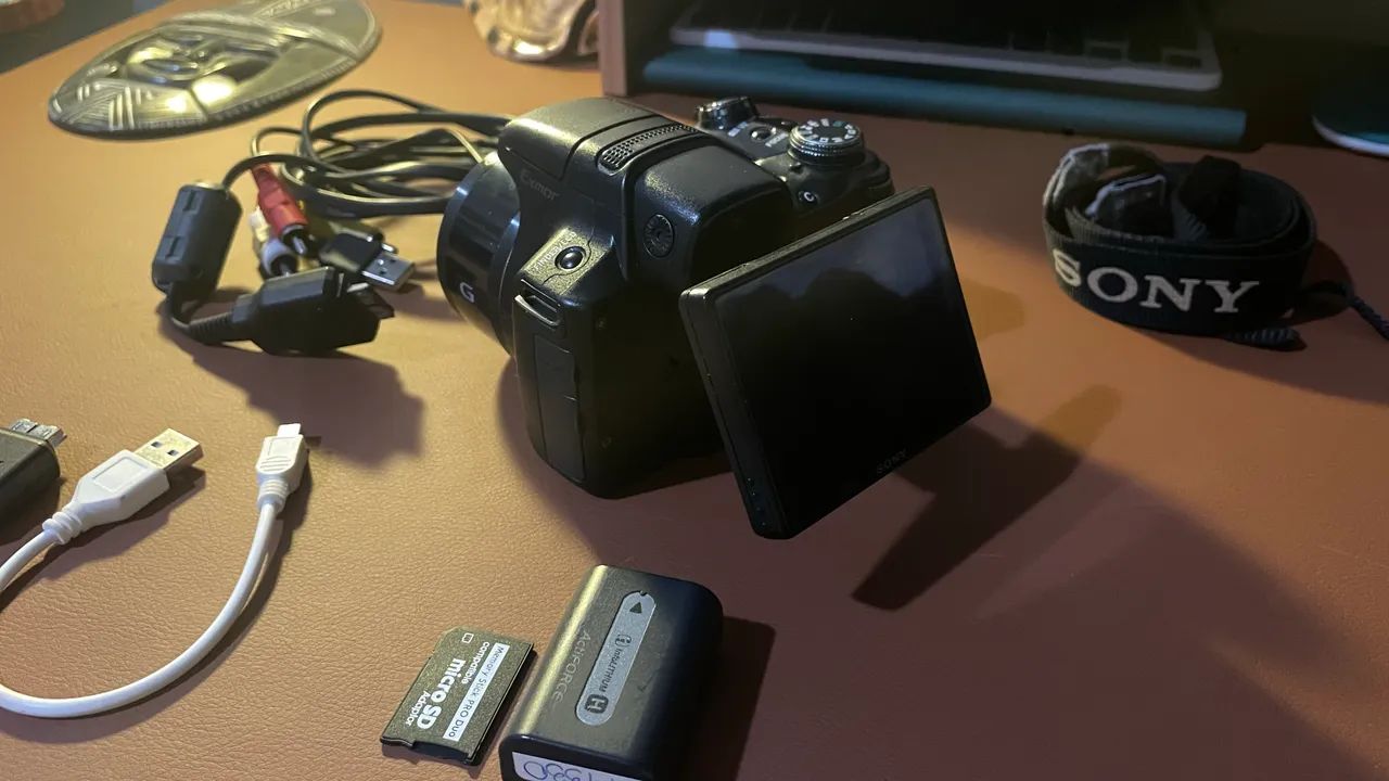 sony dsc hx1
