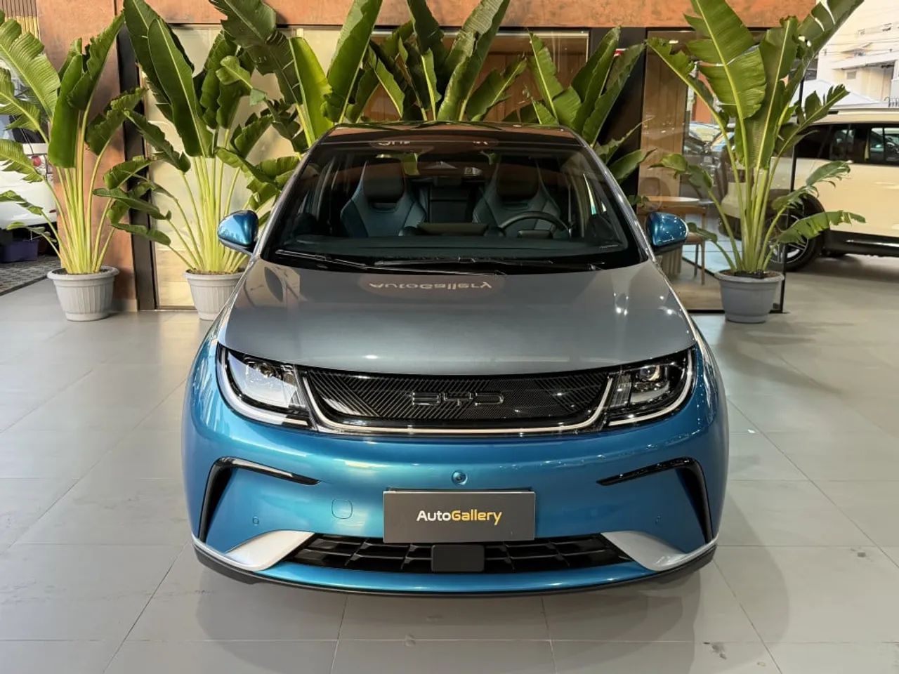 BYD Dolphin Plus (Elétrico) 2025 - Foto 3