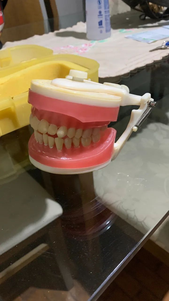 Vendo Manequim de Dentistica da Prodens - Foto 5