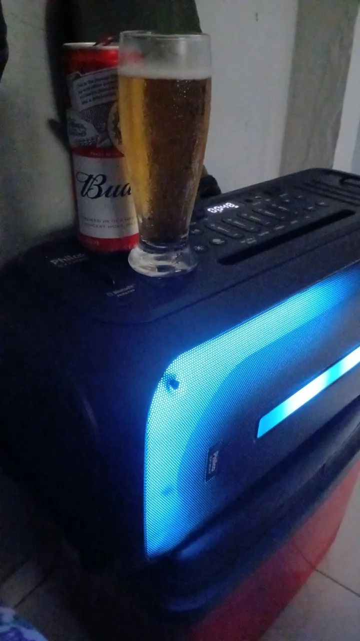 Caixa de som profissional Philco 
