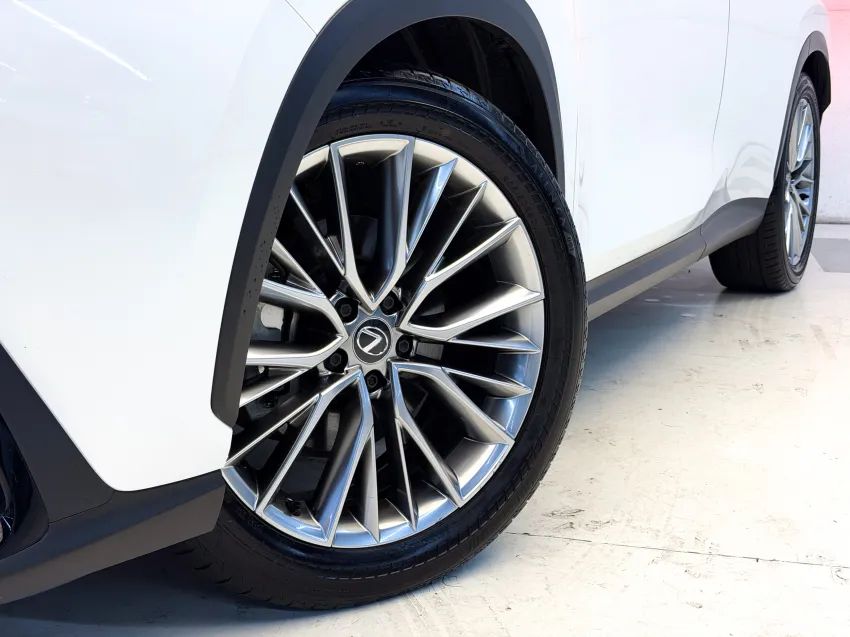 Lexus NX-350h Luxury 2.5 16V Aut. (hybrid), foto 2 de 19