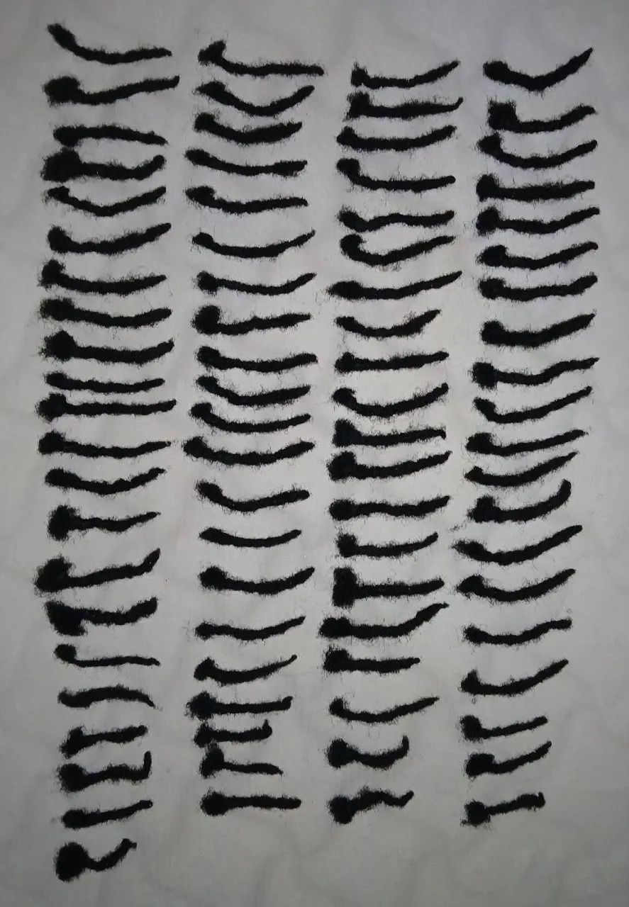 Dreds - cabelos naturais