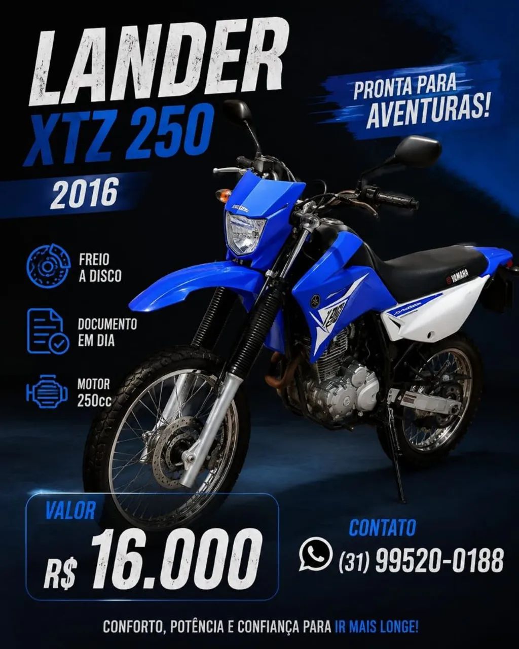 Lander 2016 - Foto 4