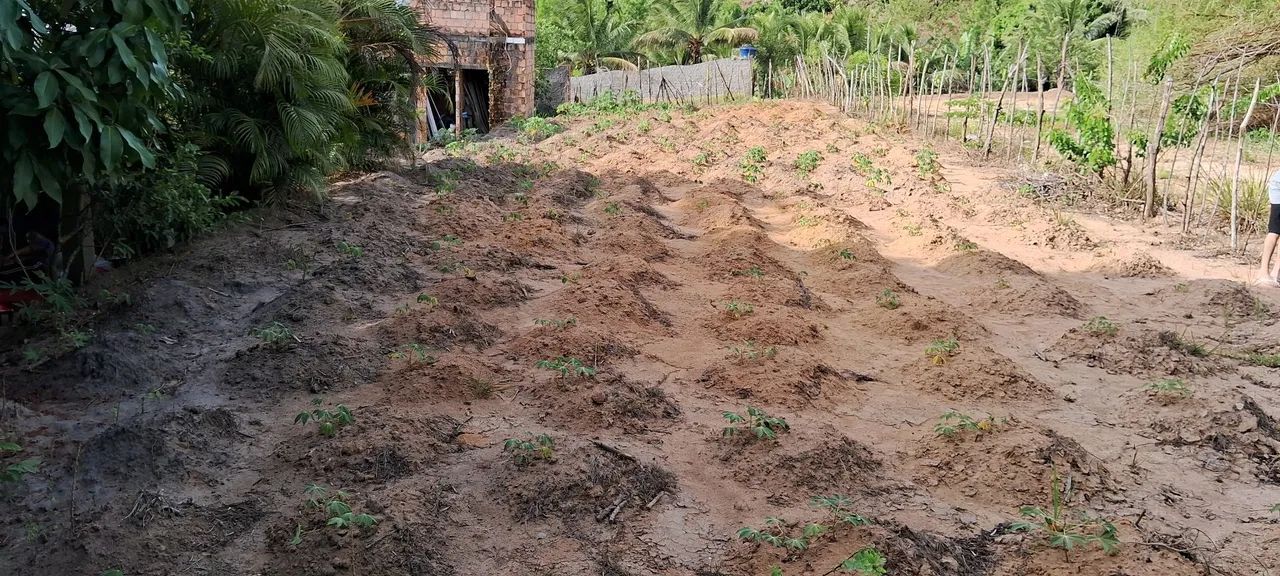 Venda de Terreno  - Foto 4