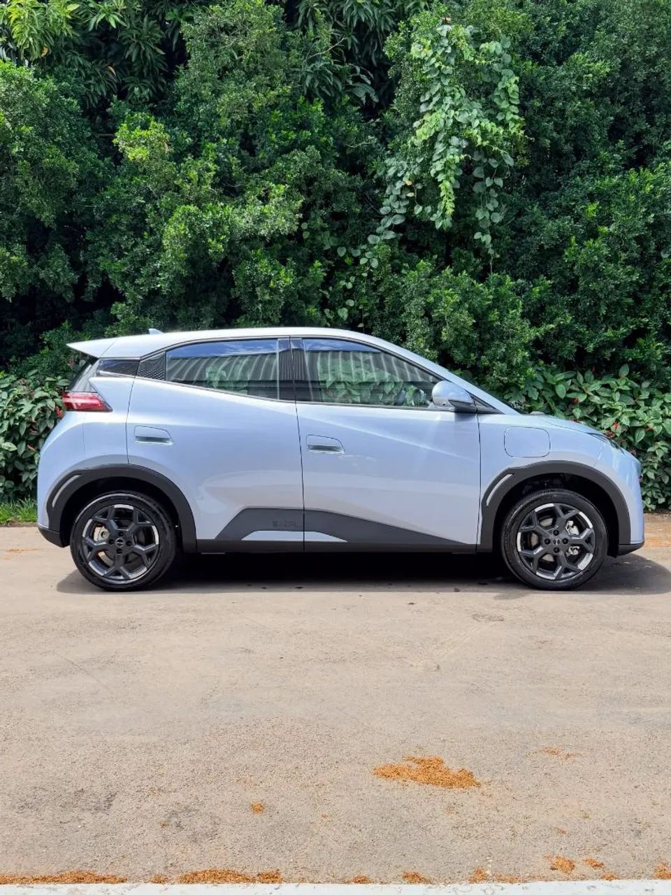 BYD Dolphin Mini (Elétrico) 2026 - Foto 2