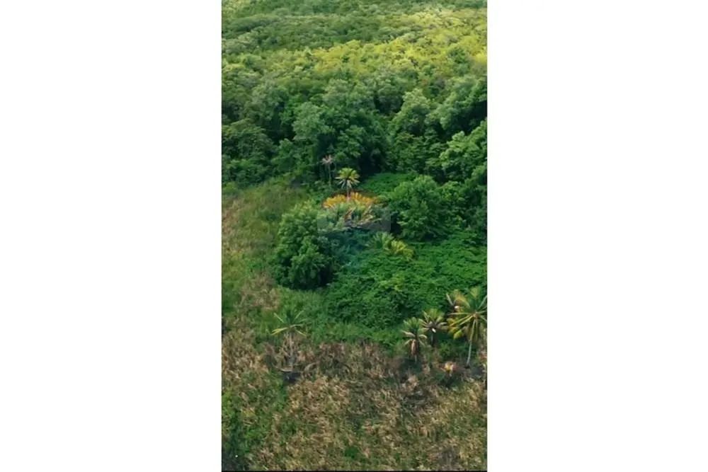 Área em Marechal Deodoro no Povoado Mucuri. - Foto 3