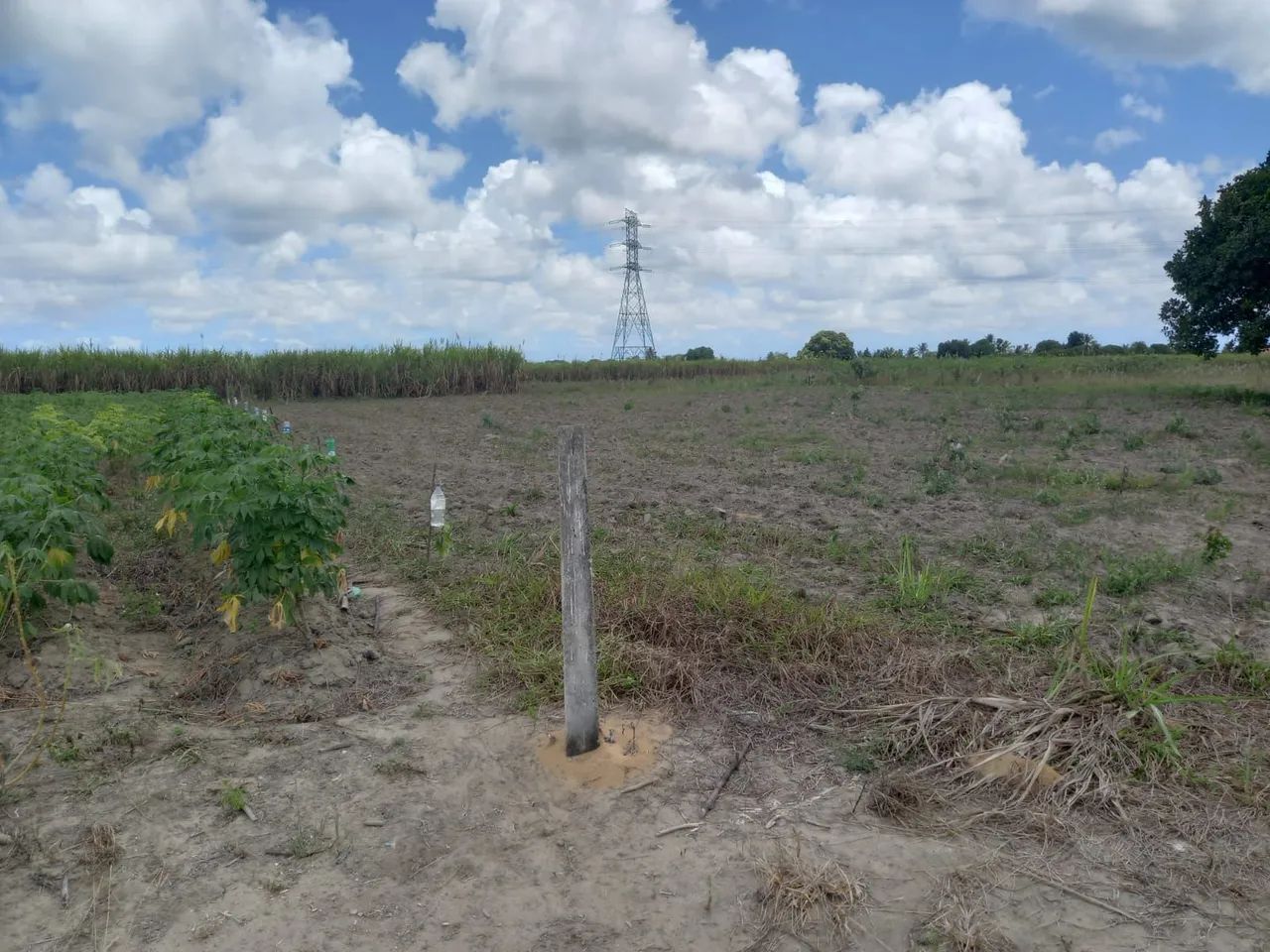 Vendo Terreno plano, maravilhoso, pronto para construir sua casa de campo - Foto 8