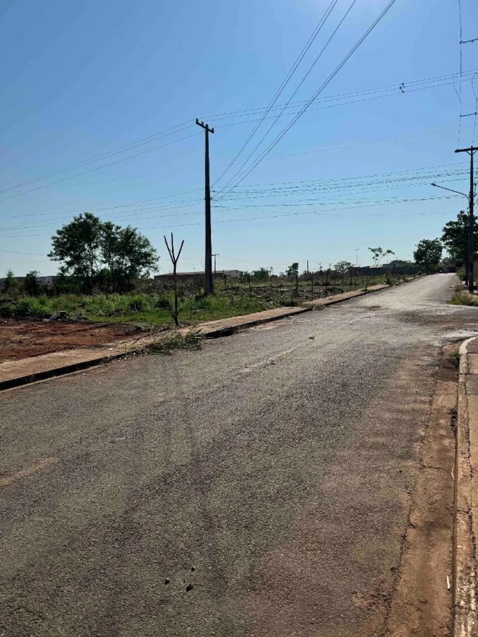TERRENO RESIDENCIAL JACARANDÁ - Foto 4