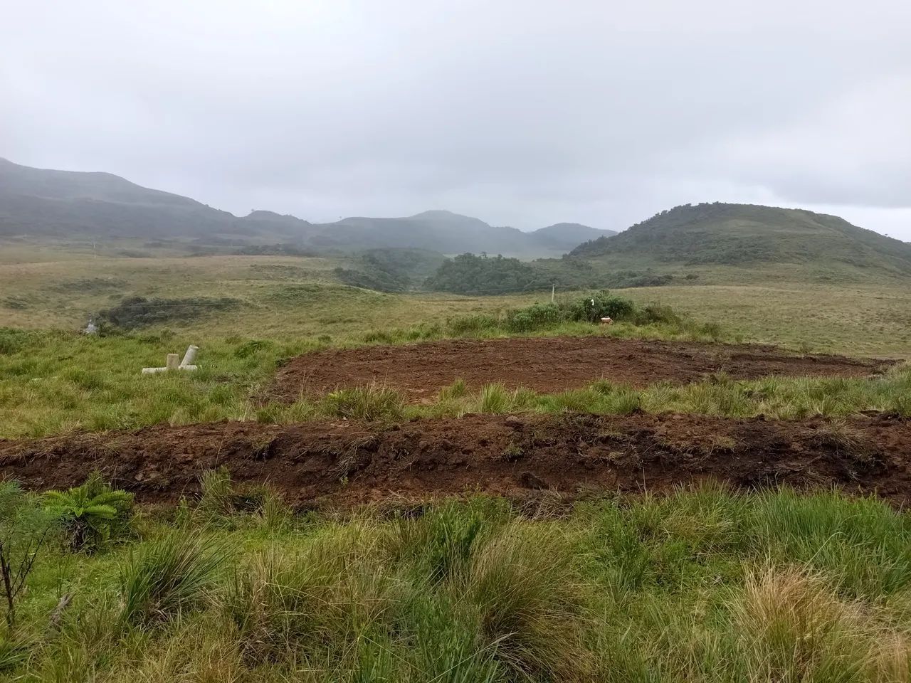 terreno campo dos padres - Foto 4