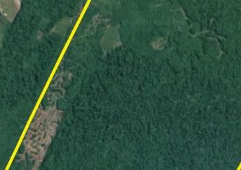 ÁREA DE TERRAS NA ESTRADA DE MANACAPURU com 402 Hectares 
