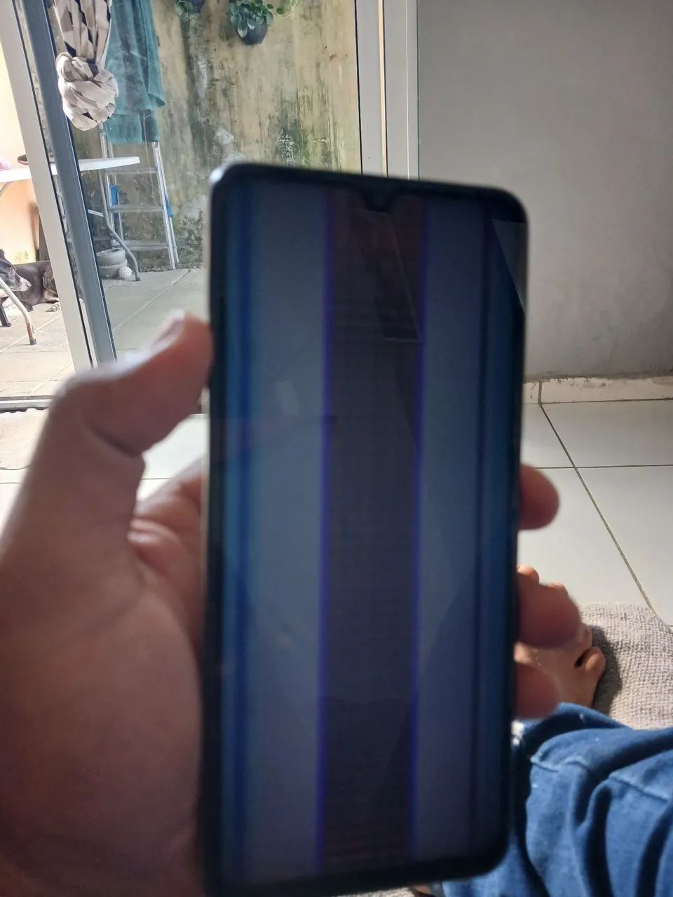 Celular 
