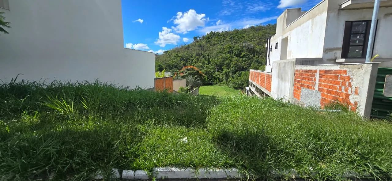 Lote / Terreno - Grama - Foto 3