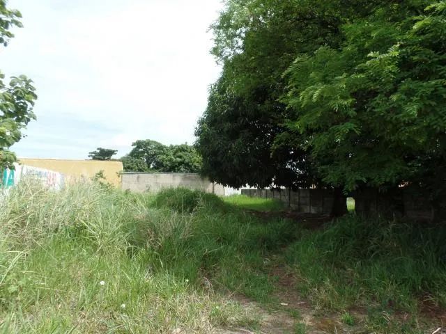 Lote Av. Rio Verde, 563,00 m², Setor Vila Rosa - Foto 3