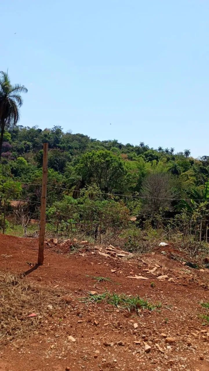Lotes em mateus leme  - Foto 4