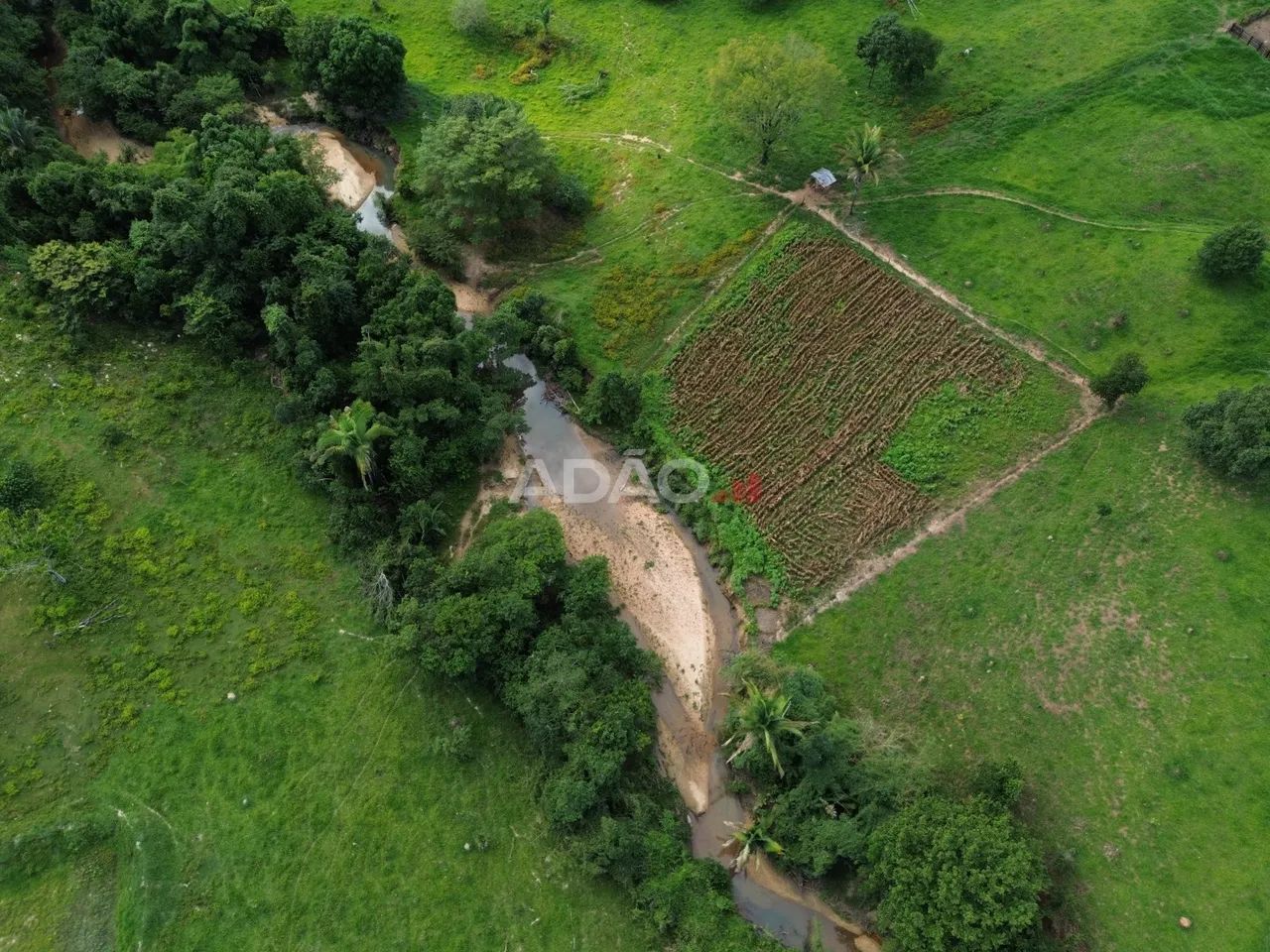 Fazenda Minaçu - Foto 2