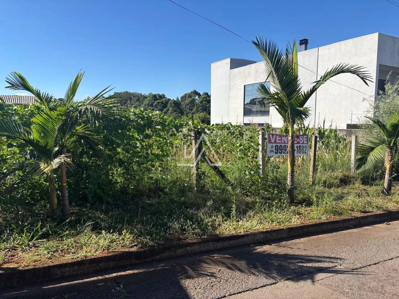 TERRENO RESIDENCIAL - Foto 2