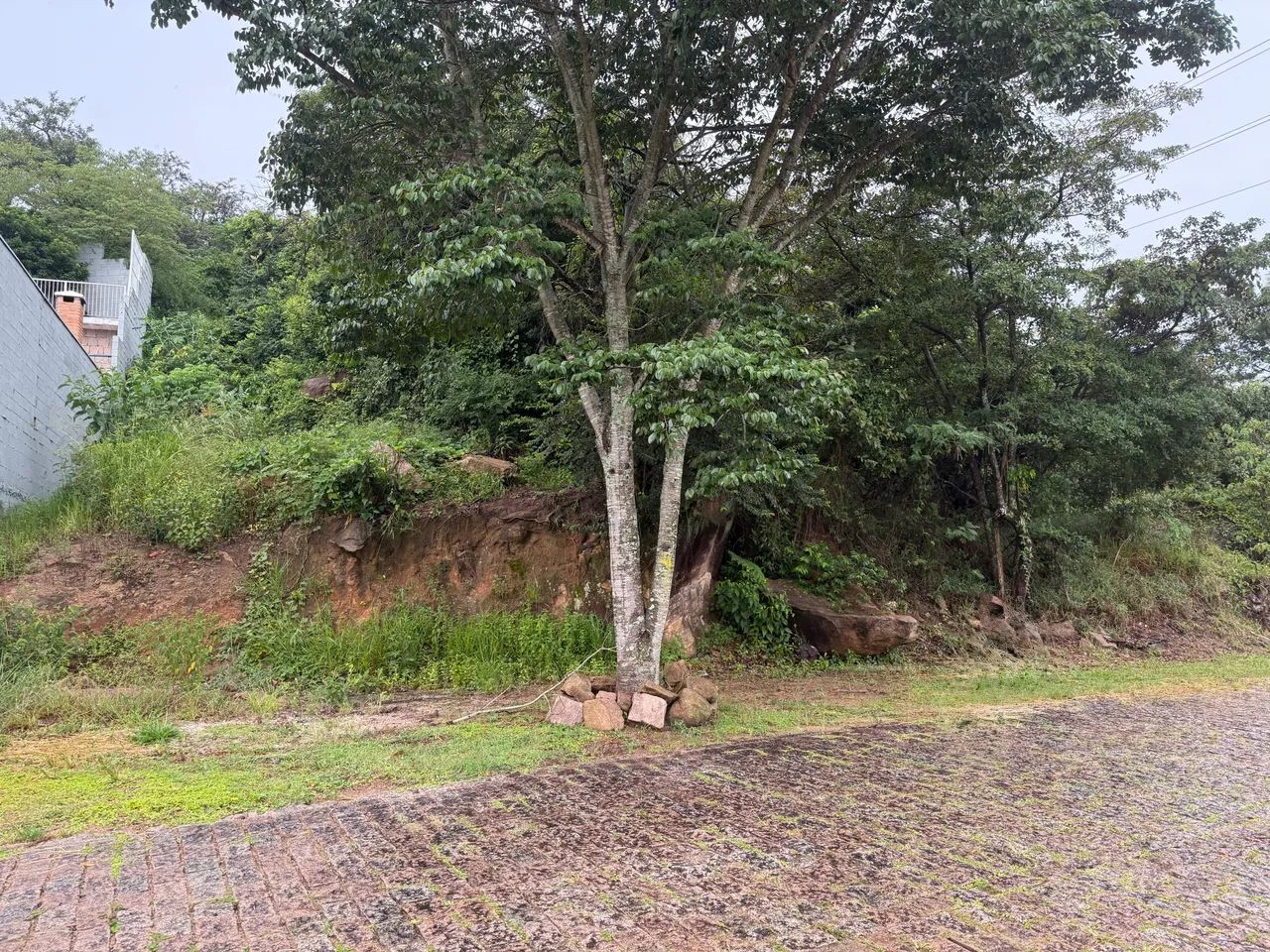 Terreno em Valinhos  - Foto 3