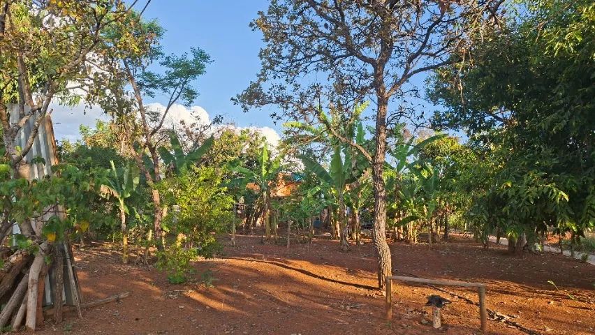 Chácara de 2000m2 com casa, água, é luz proximo a 040 - Foto 3