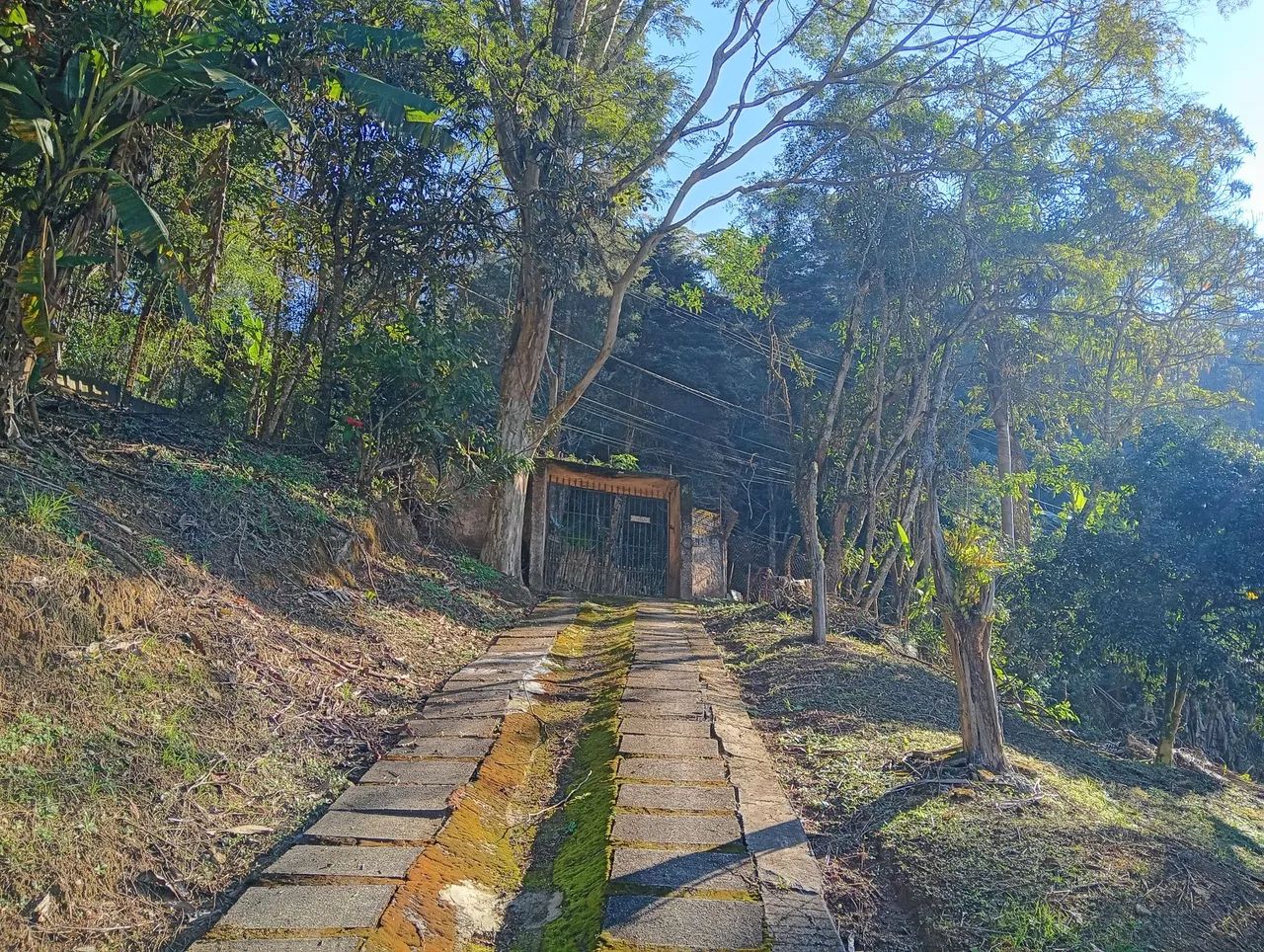 Chácaras e sítios a venda  - Foto 12
