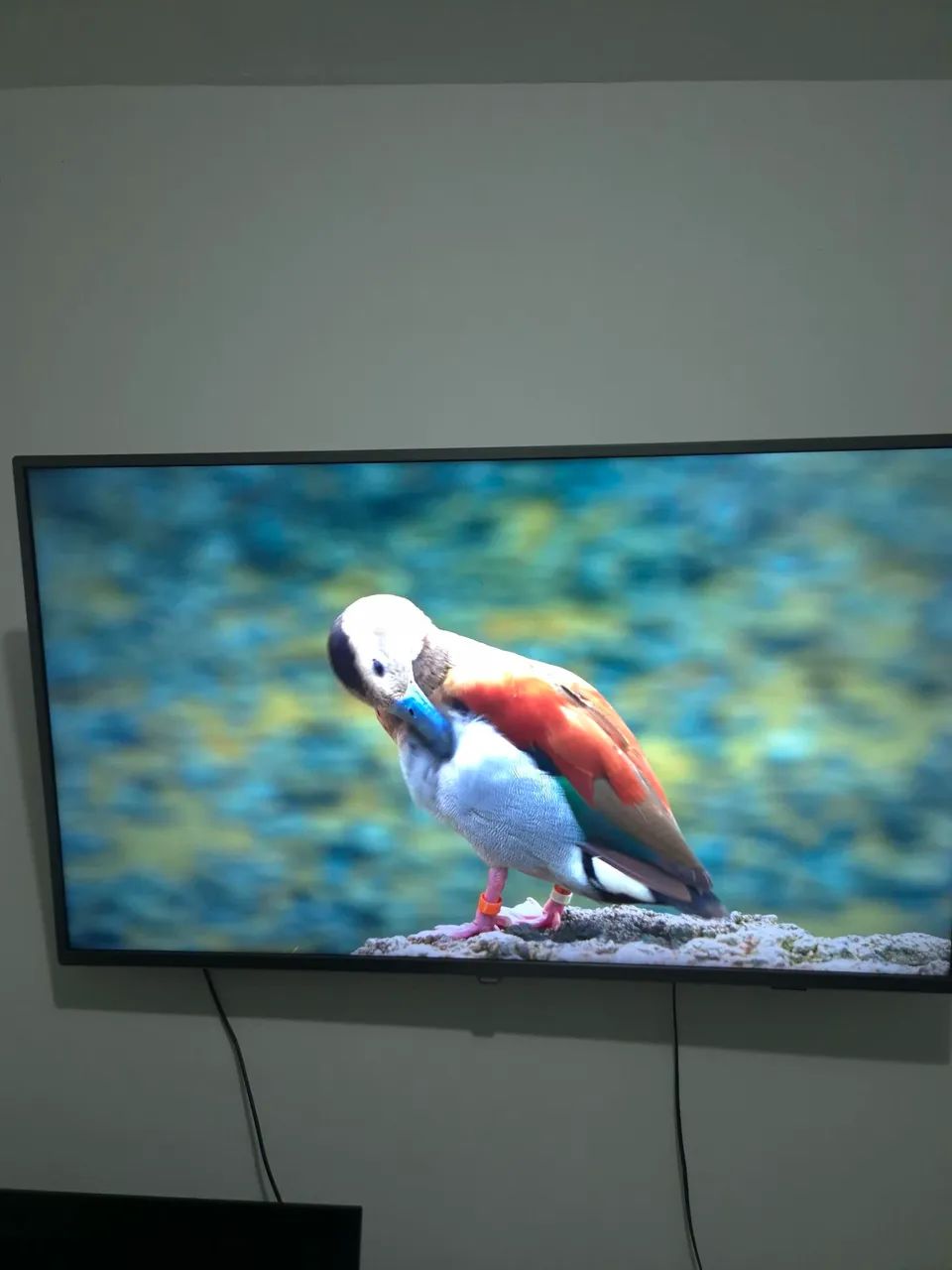 SmarTV Philips 50" - Foto 2