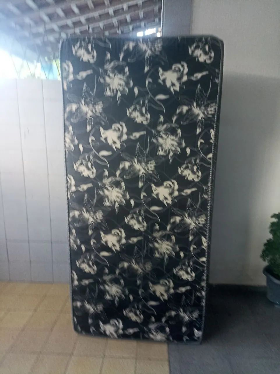 Cama 