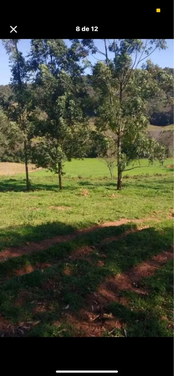 Sítio a venda  - Foto 5