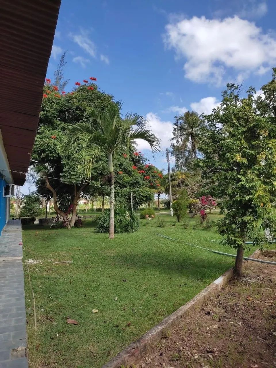 Granja sertãozinho  - Foto 4
