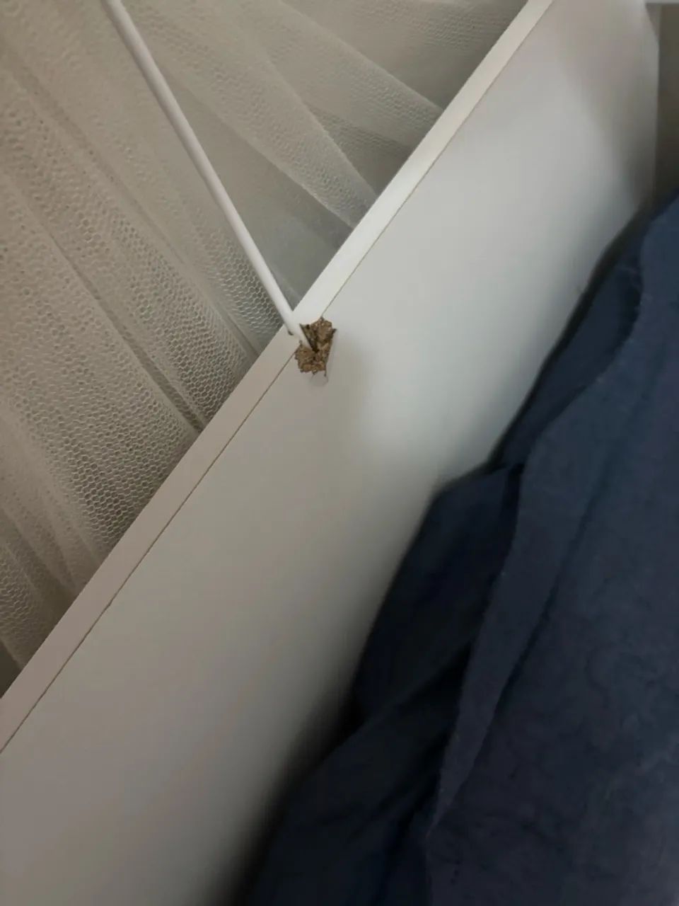 Berço americano 3 em 1 - Foto 4