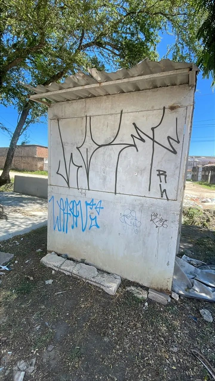 Fiteiro - Foto 2
