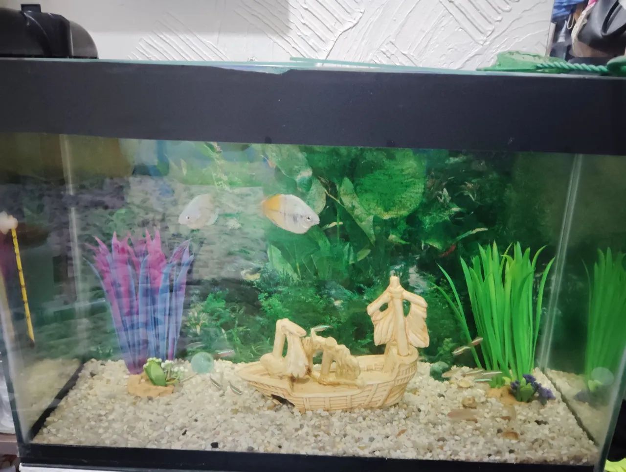 Aquário de vidro medindo 60x40x25 em ótimo estado! - Foto 4