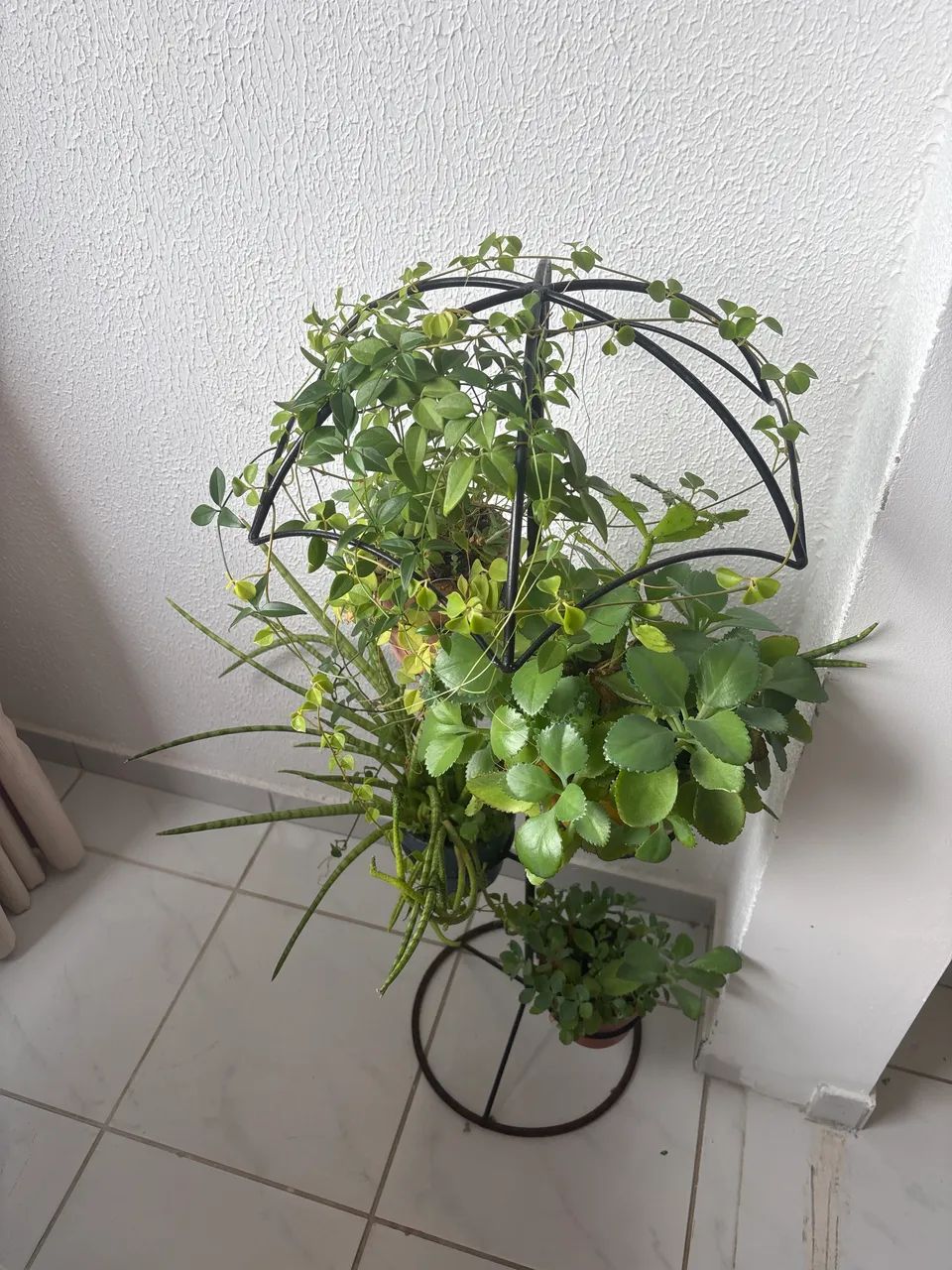 Vendo 