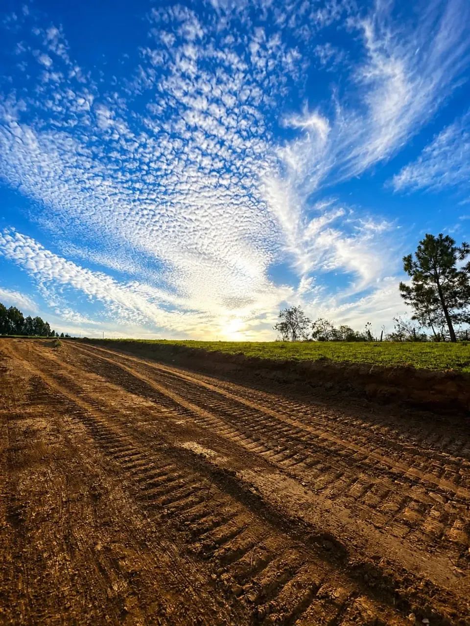 Terreno em Mairinque com árvore - Foto 2
