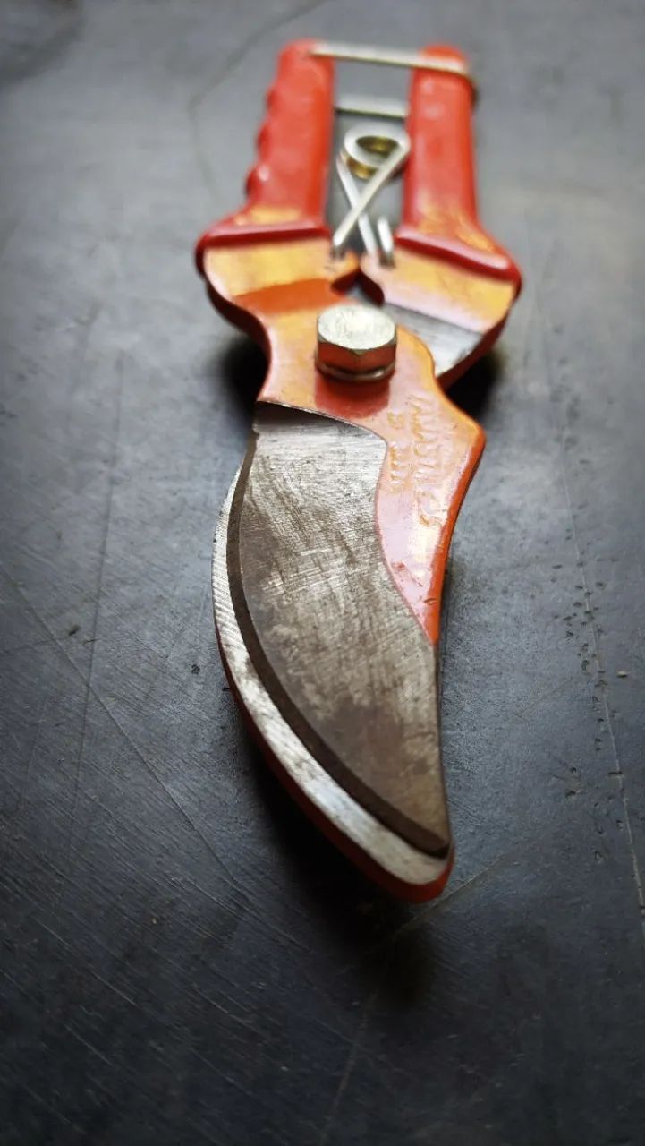 Tesoura de poda (21 cm)