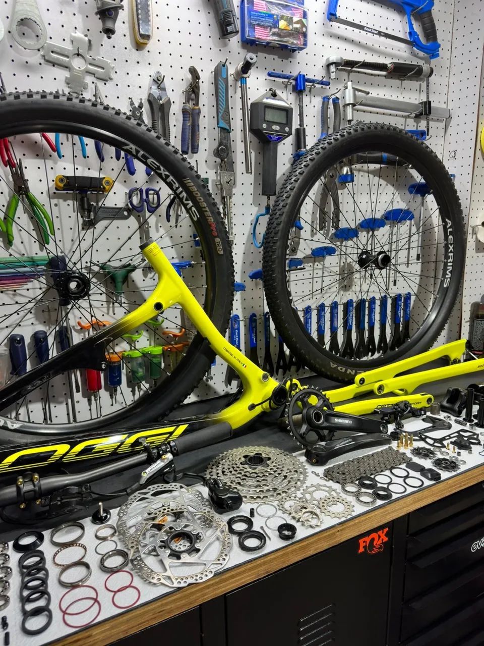 Bike oggi cattura sport 19 