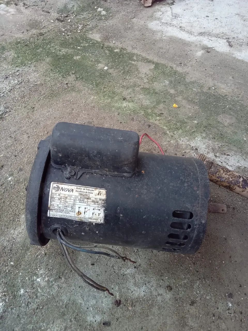 Motor de indução 