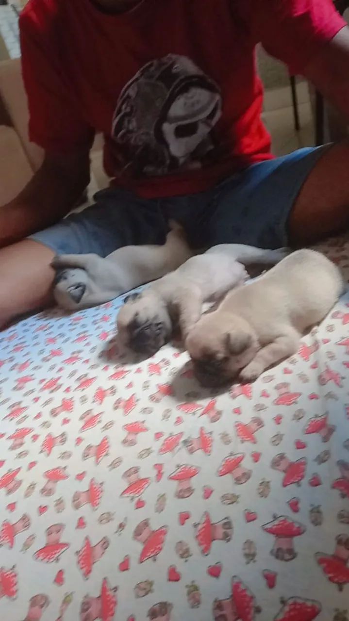 Disponível  - Foto 3