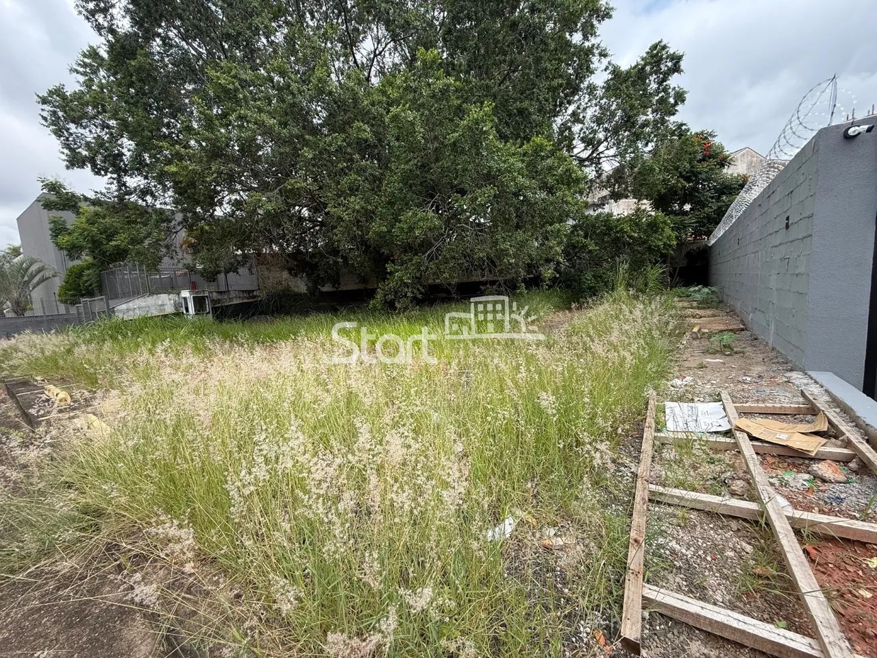 terreno - Taquaral - Campinas - Foto 2