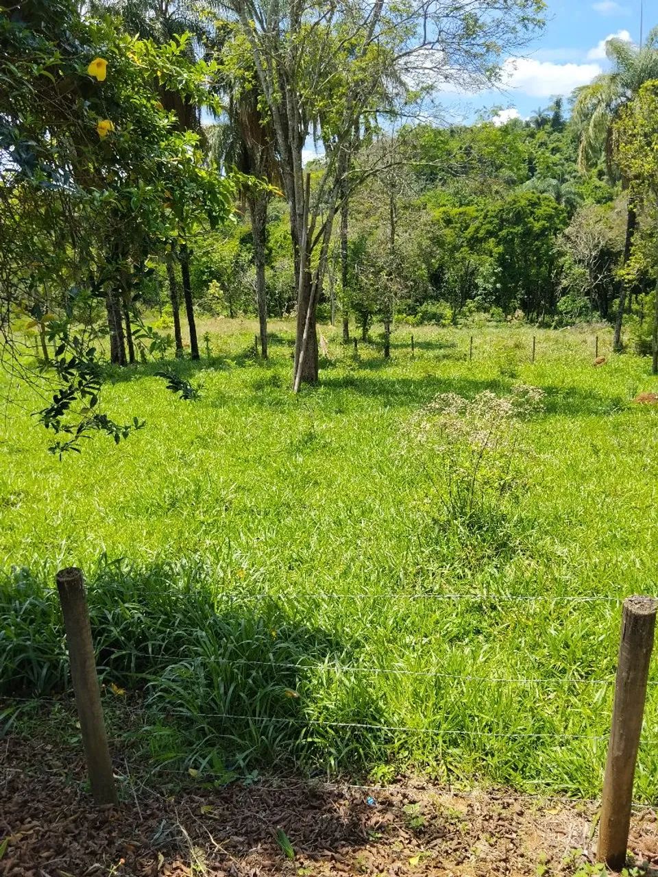 Fazenda em Mateus Leme (uma gema de terra) - Foto 2