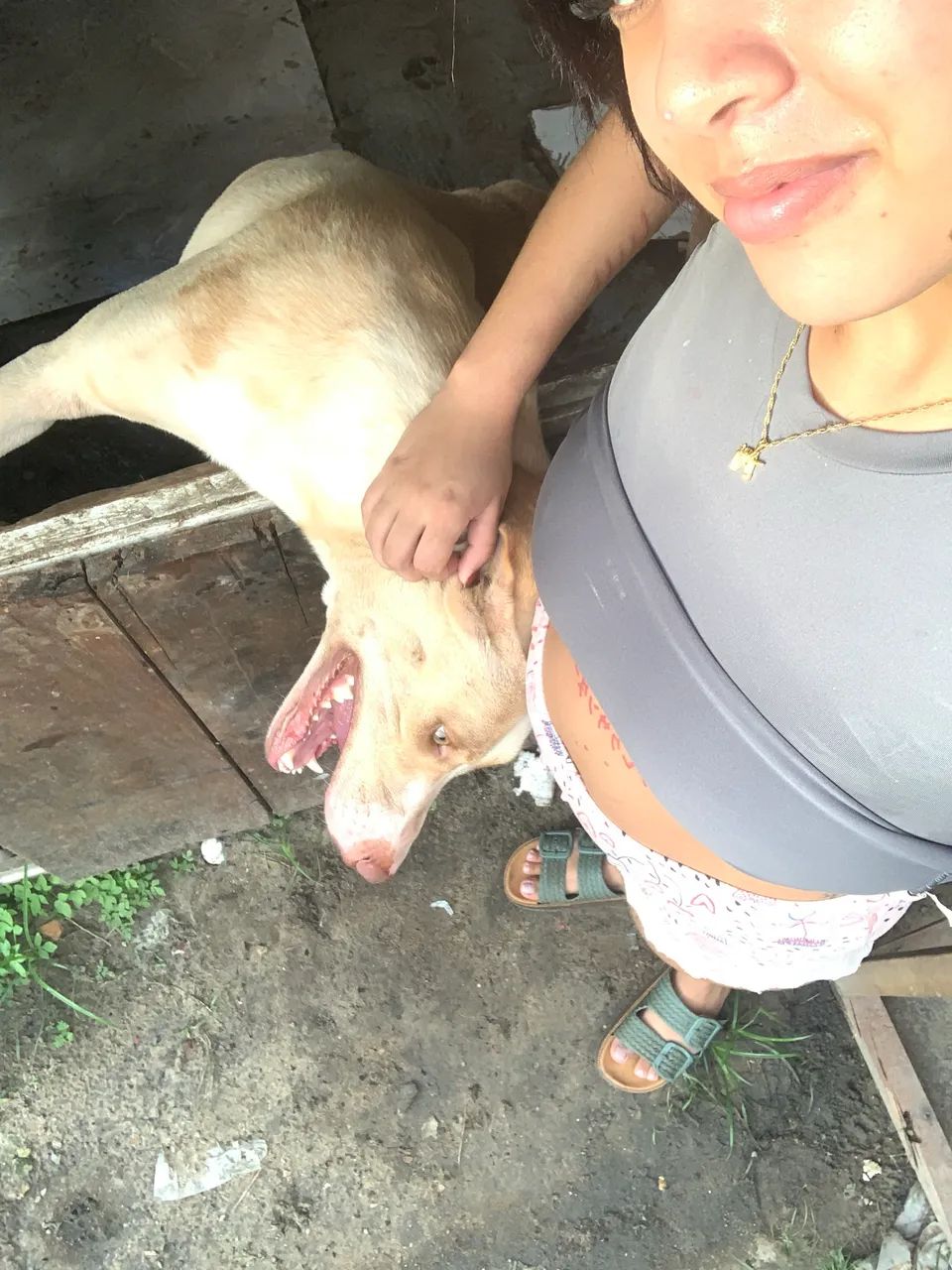 Doação 