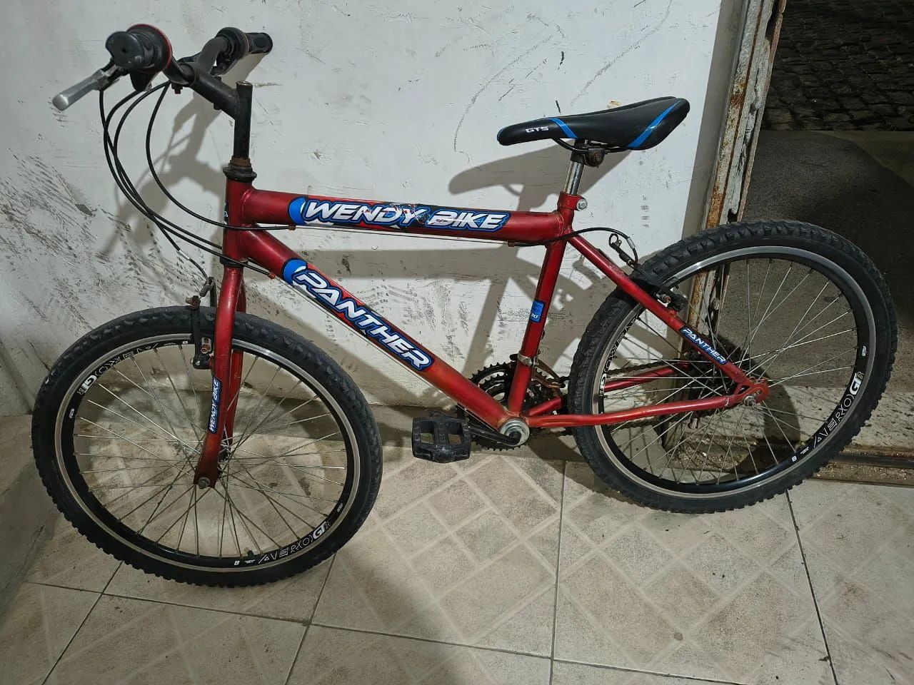 Bicicleta 